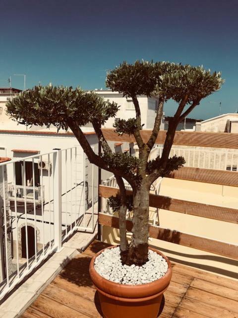 La Casa Al Borgo Apartment Vieste Bagian luar foto